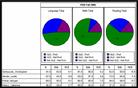 V.i.P.S. Assessment Management