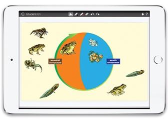 MimioMobile™ Collaboration App